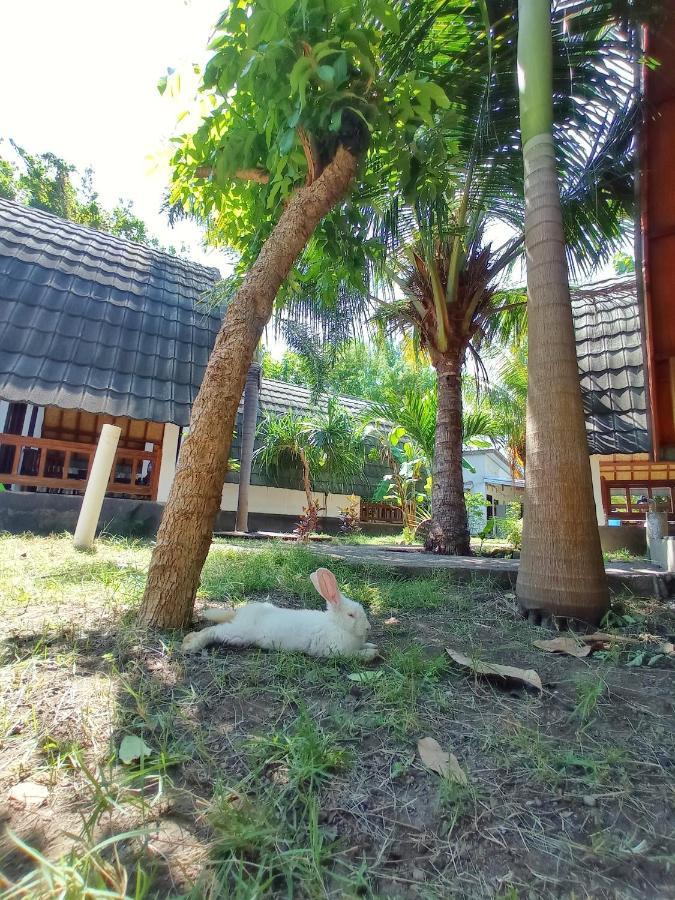 Follow The Rabbit Bungalow Gili Air Dış mekan fotoğraf
