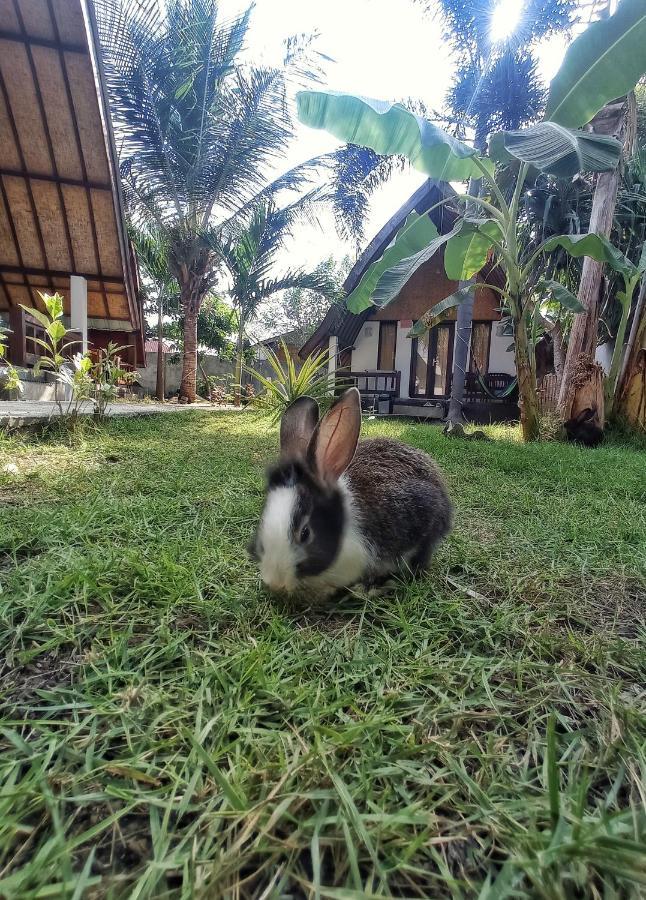 Follow The Rabbit Bungalow Gili Air Dış mekan fotoğraf