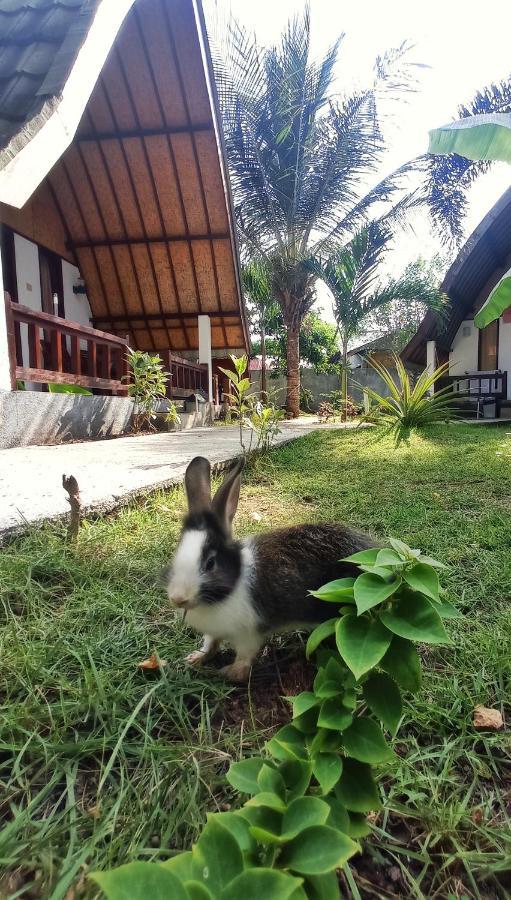 Follow The Rabbit Bungalow Gili Air Dış mekan fotoğraf