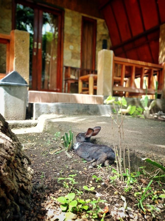 Follow The Rabbit Bungalow Gili Air Dış mekan fotoğraf